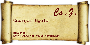 Csurgai Gyula névjegykártya